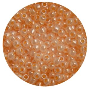 Mostacilla Japonesa Round  11/0 Brillant Light Orange BBMJ00904